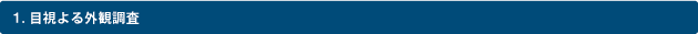 1.目視による外視調査